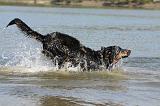 BEAUCERON 662